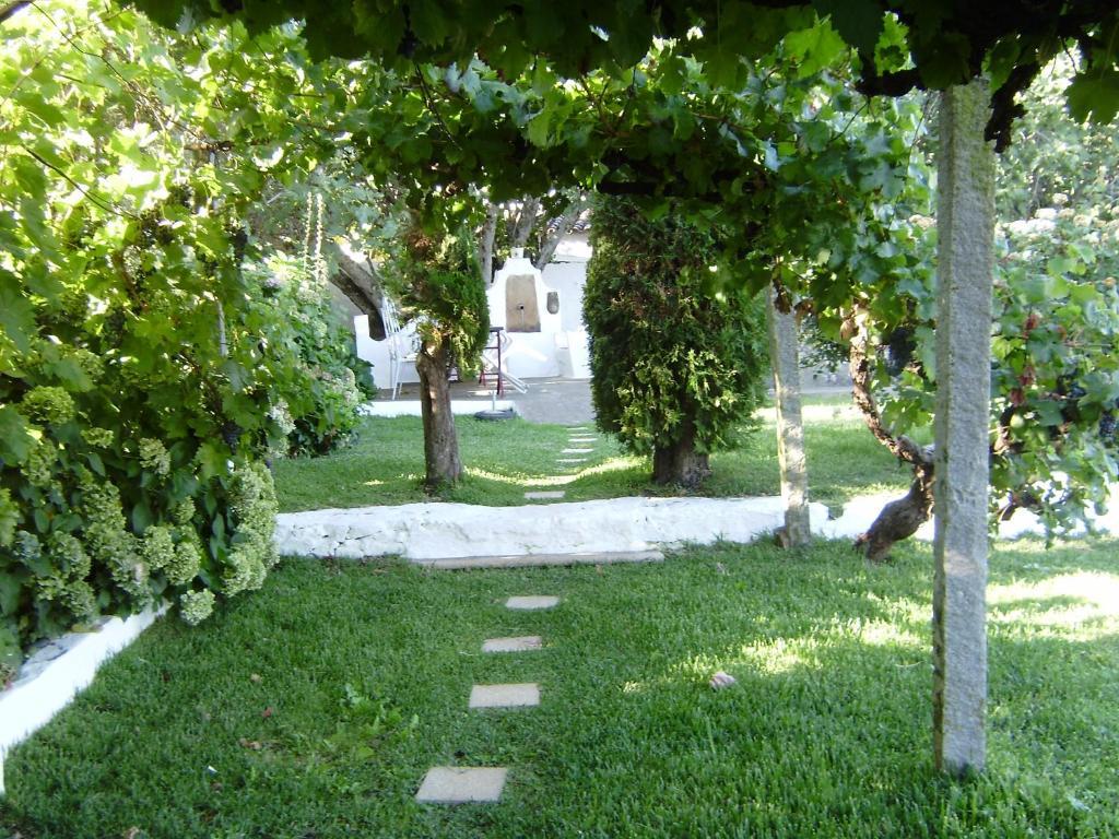 Turimenha *